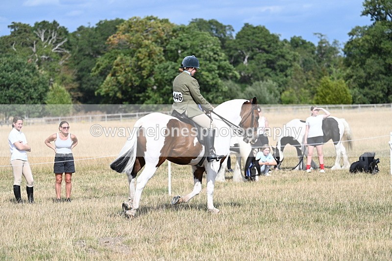 WJ7_7434 - Class 14 Ridden Coloured