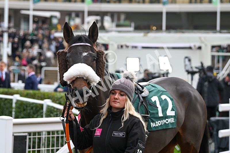 161124-Race 5-Paddock-Pinnacle Peak-0763 - Race 5