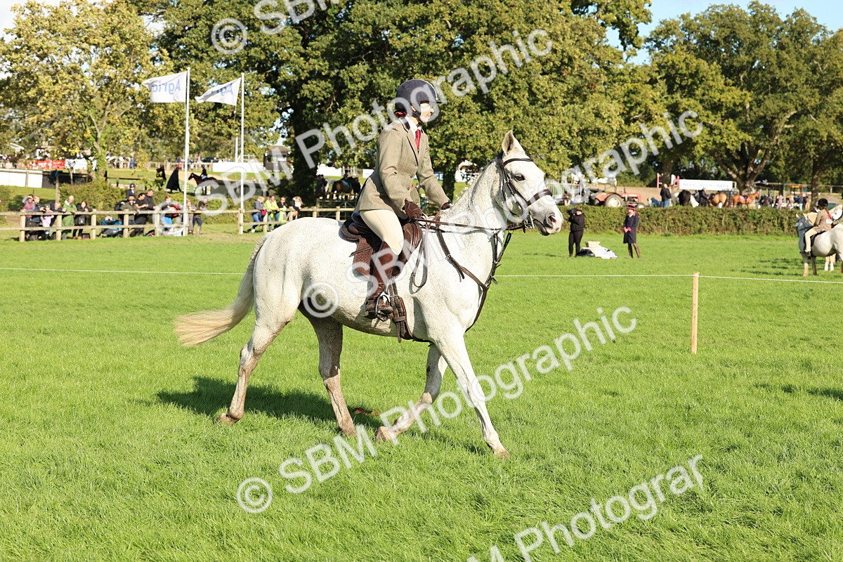 SBM_50123 - S34 - Novice & Newcomers Working Hunter