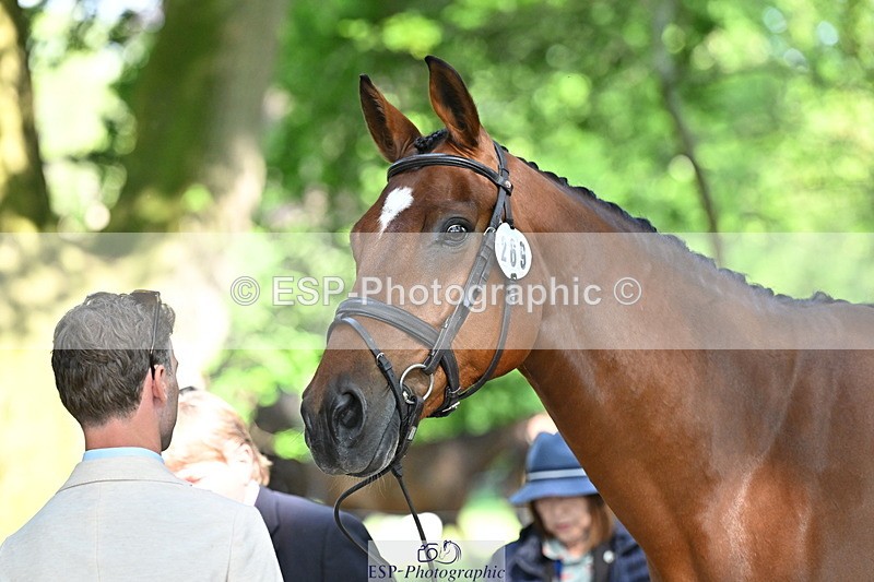 250521A-165100-01377 - C-269-Tom.Grant-NEW.NINI