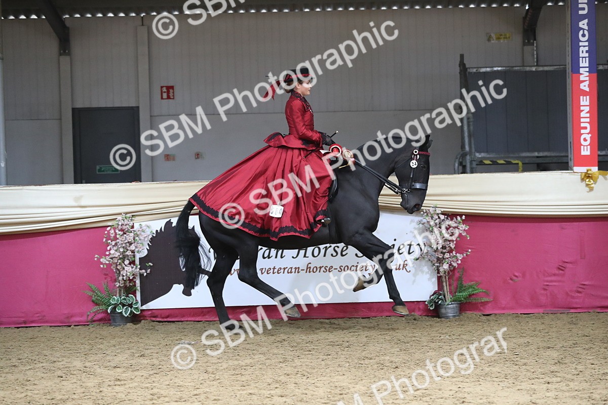 SBM_12206 - Class 107 Ridden Costume- Astride Adult (20+)