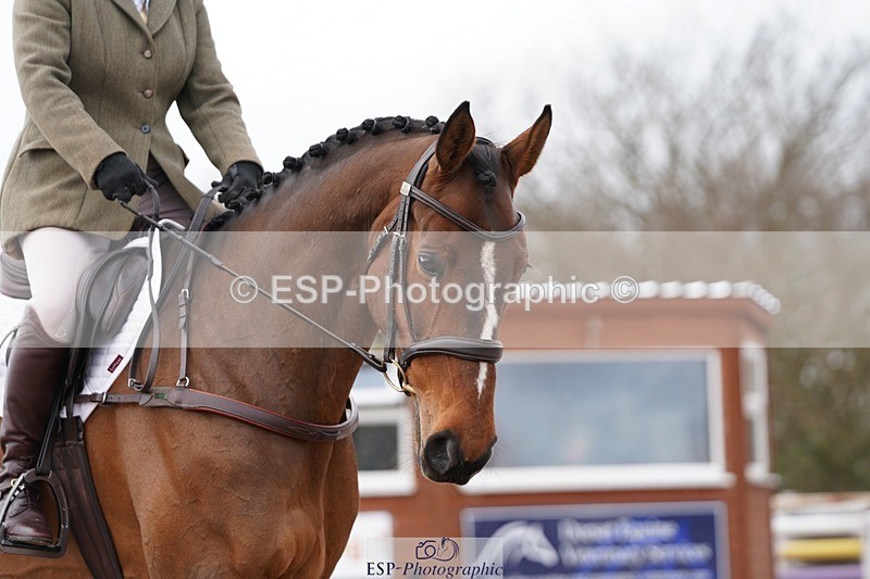 250322-100346-00119 - DR Prelim 2 Test