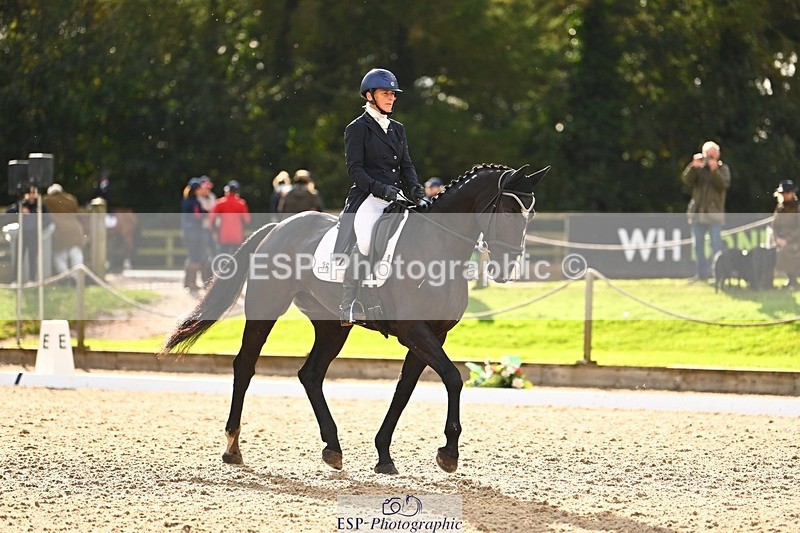 231021-151824-21110 - 361-ELLIES.CANDY.GIRL-Carolyne.Ryan-Bell-DR