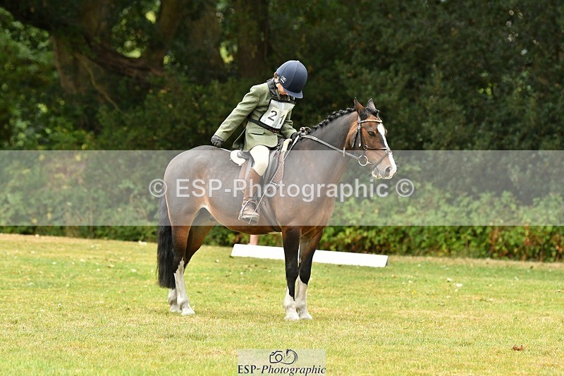 250820A-111534-04974 - 11am to 12