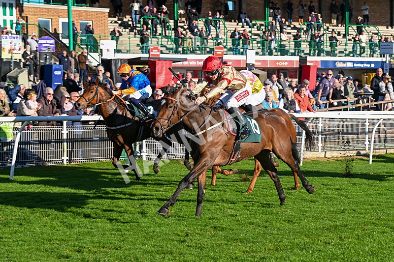 291024-Race 4-Rwenearlytheredad-6060 - Race 4