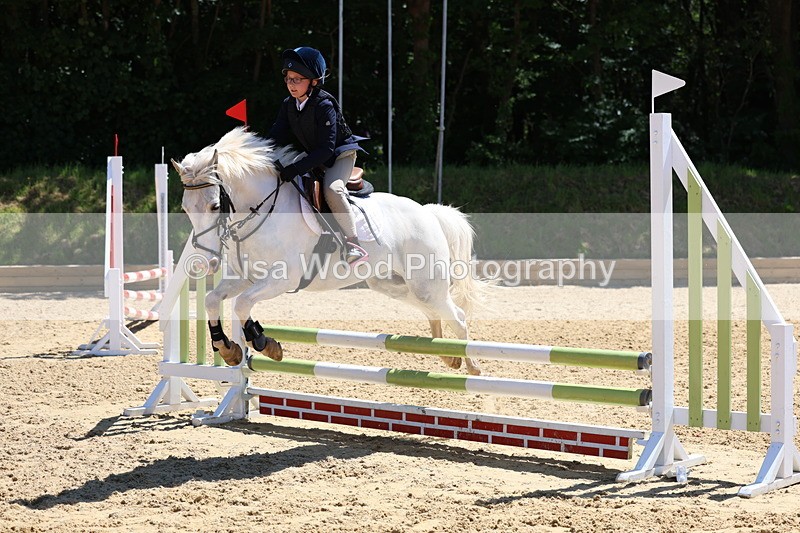 3E7A2354 - Class 4/5: 60cm Open Teams and Individuals