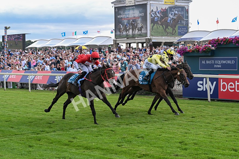 250726-Race 5-Rogue Jewel-7573 - Race 5 15.42pm Sky Bet Price Boosts EBF Fillies' Novice Stakes