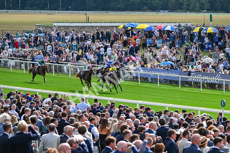 190826-Race 4-Item-1439 - Race 4 15.35pm Juddmonte International Stakes