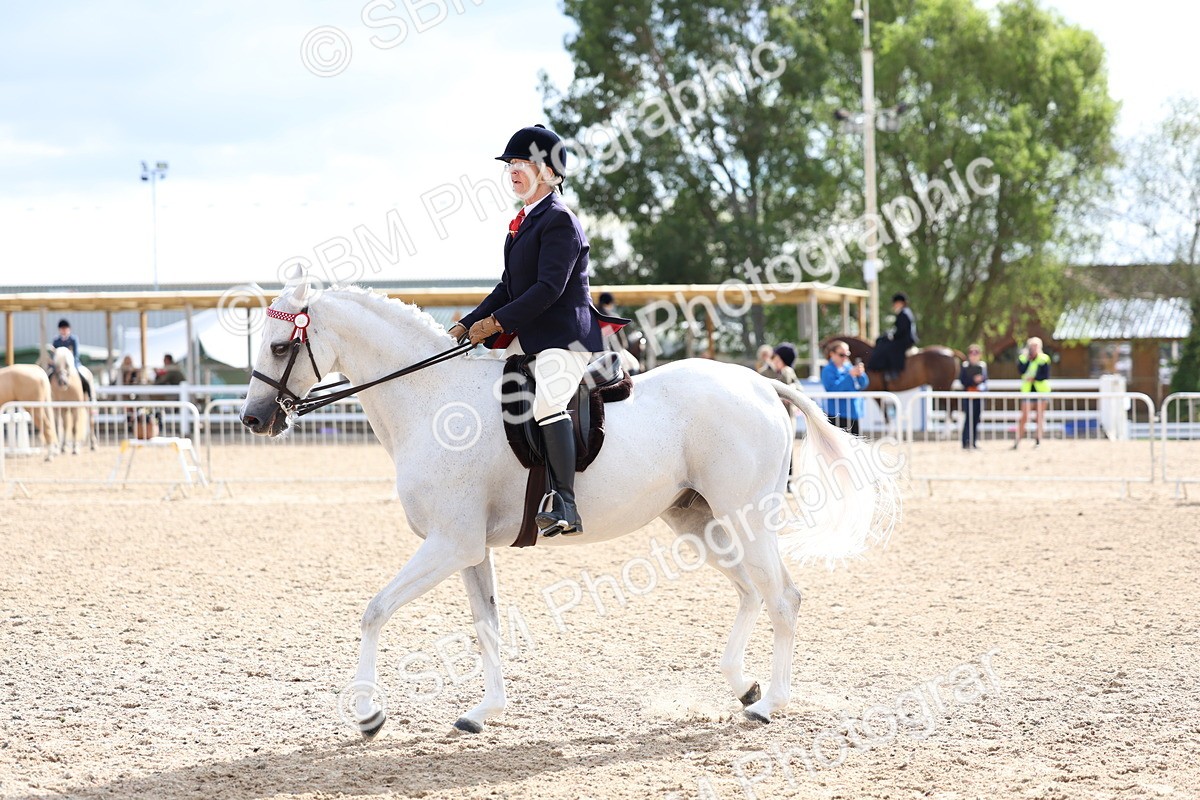 SBM_10059 - Class 304 - Ridden Part Bred Horse Pony