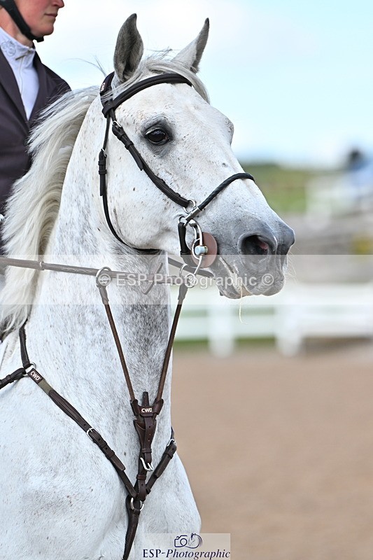 240619A-165124-01292 - Cls 6 National 1.30m and 1.40m