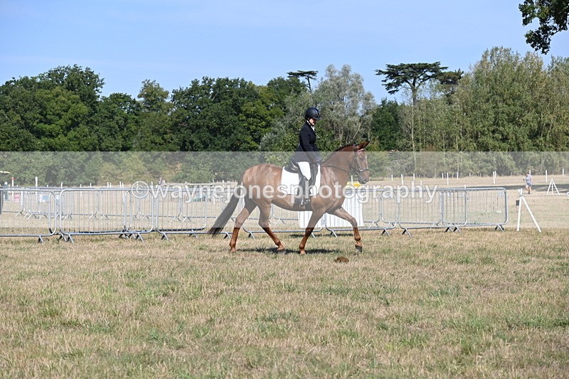 WJ6_7218 - Class 33 Rescue Pony