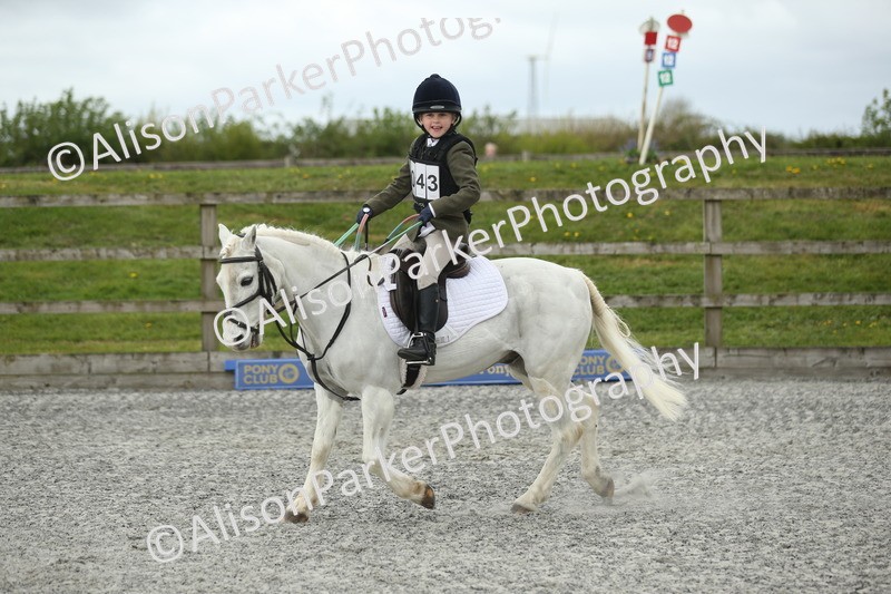 20260412-0650 - Show Jumping