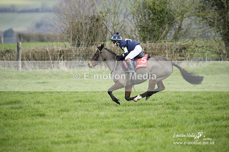 PtP 060322 37 - Blackmore & Sparkford Vale Hunt PtP 06/03/22