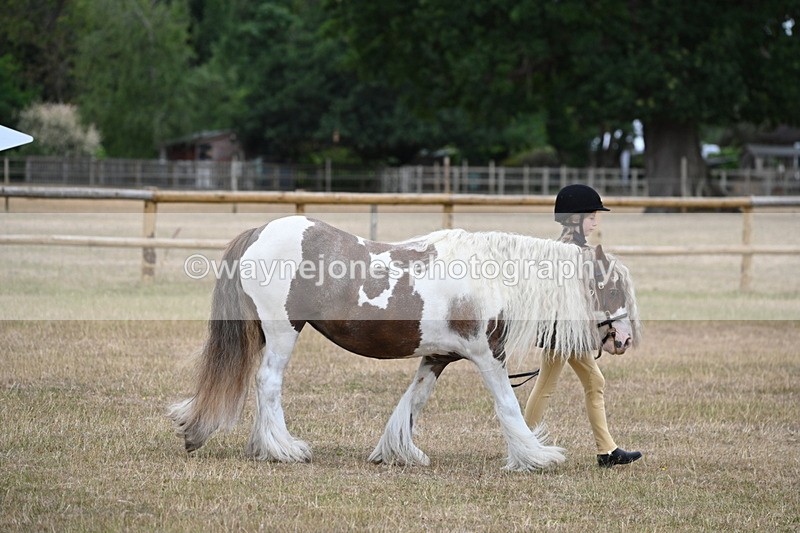 WJ6_7860 - Class 10 Coloured in Hand