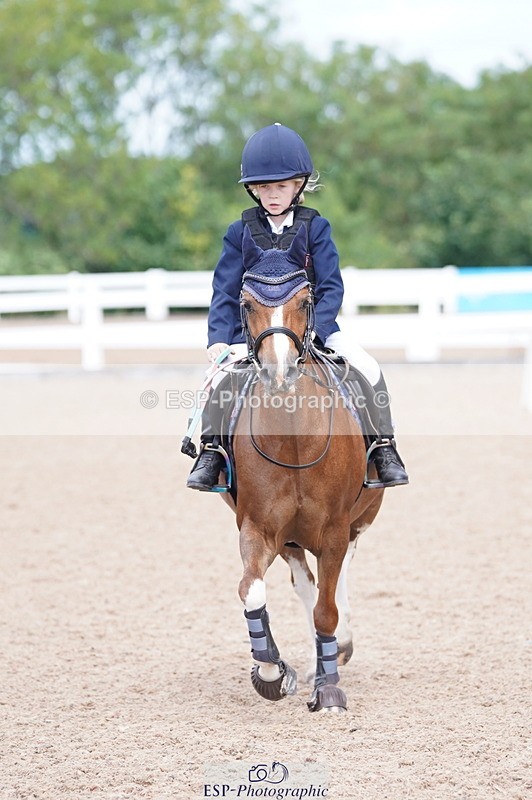 240809A-114200-00809 - Showjumping Competition