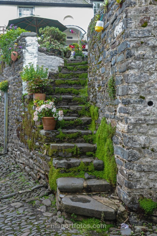 Clovelly - Travel, city/land scapes