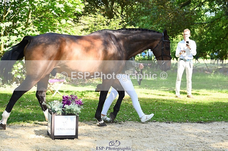 230524-154628-00493 - 369-GIDO_G-Sally_Chamberlain-WEDTrotUp+DR