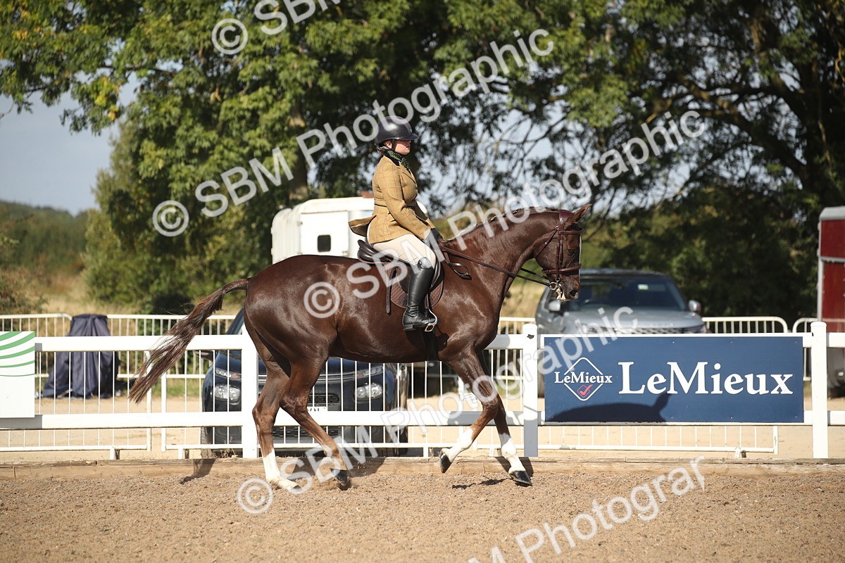 SBM_22771 - Class 602 - 2026 Area - Ridden Veteran