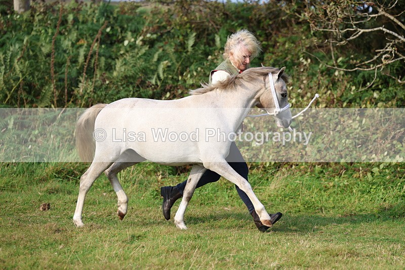 3E7A3152 - Class 12: M & M Small Breeds