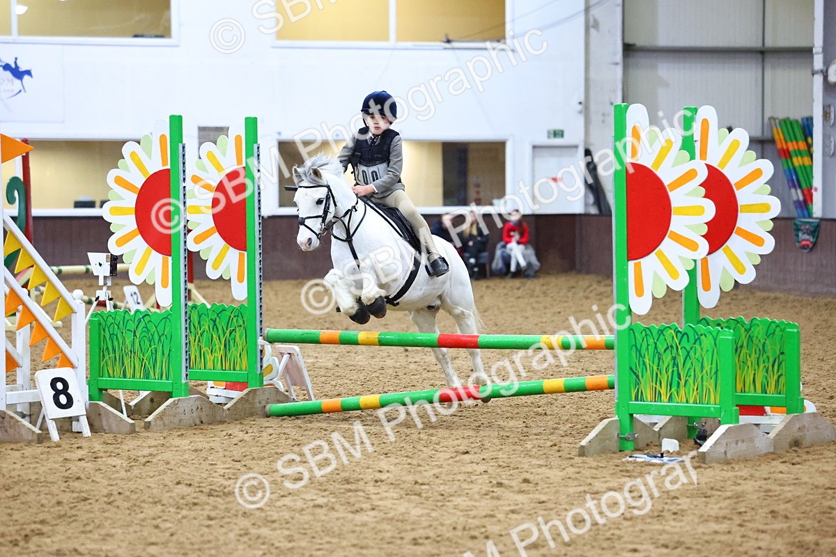 SBM_001430 - Class 3 - Christmas Tree Stakes - 60cm