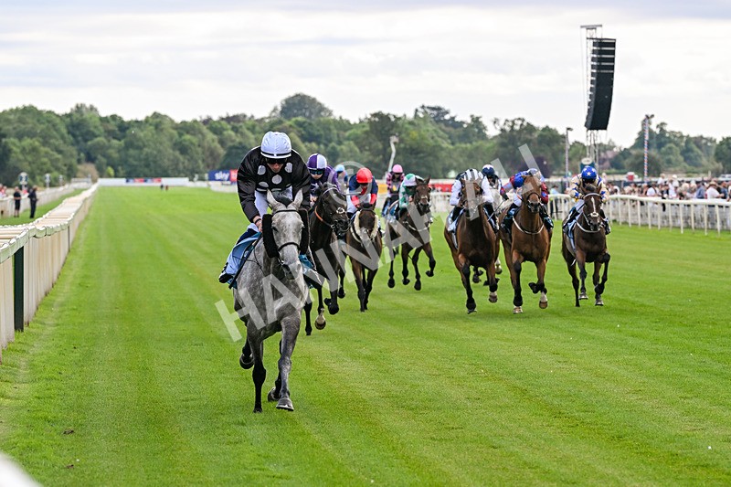 250726-Race 6-Likealot-7666 - Race 6 16.17pm Sky Bet Build A Bet Handicap
