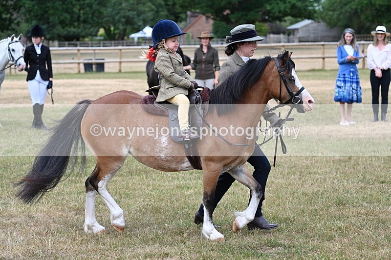 WJ7_9804 - Class 1 Lead Rein Pony