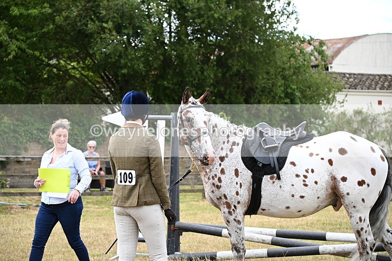 WJ6_3840 - Class 9 Tack & Turnout