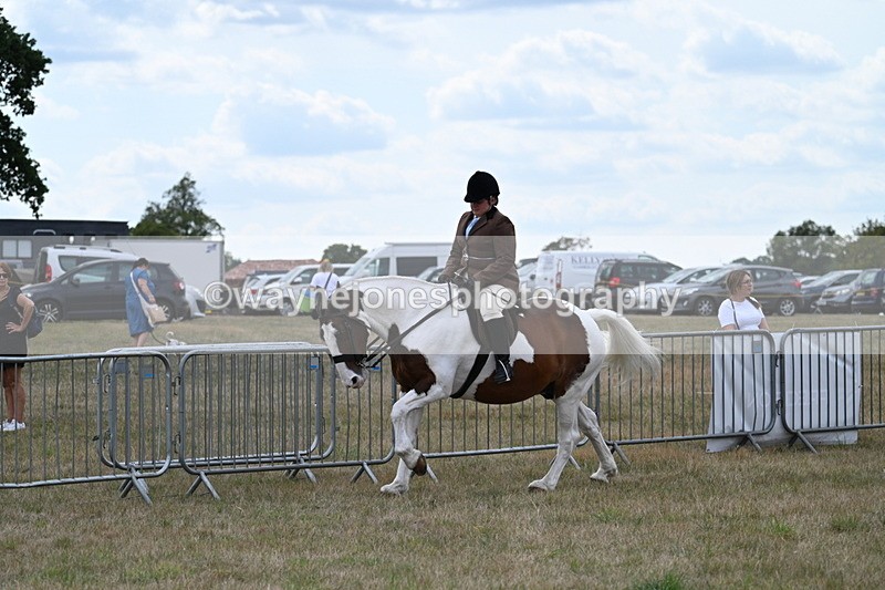 WJ7_5044 - Class 12 Ridden Cob