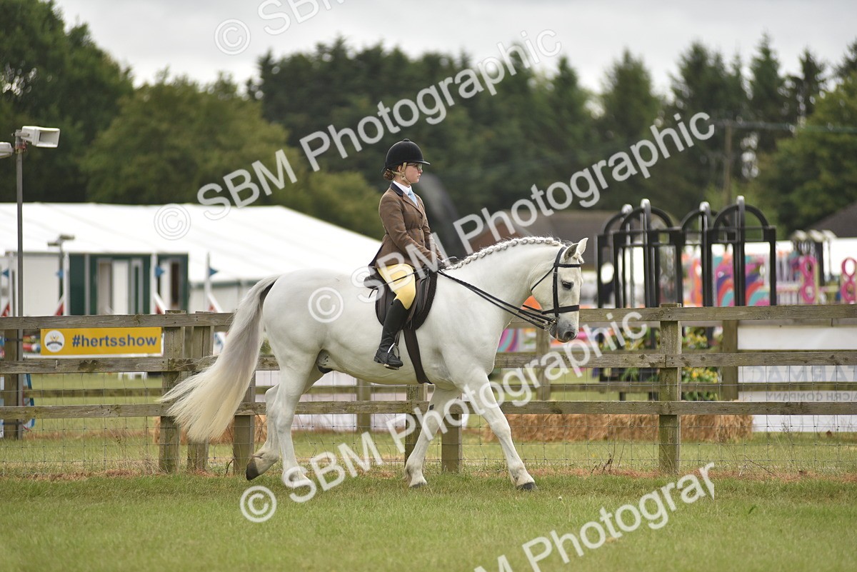 SBM_11977 - Class 110-112 - LIHS BSPS Performance Pones