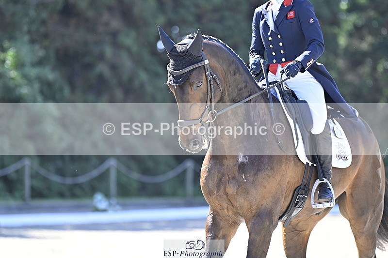 250522A-101238-02641 - B-310-Kitty.King-LISCARROW.FERNHILL