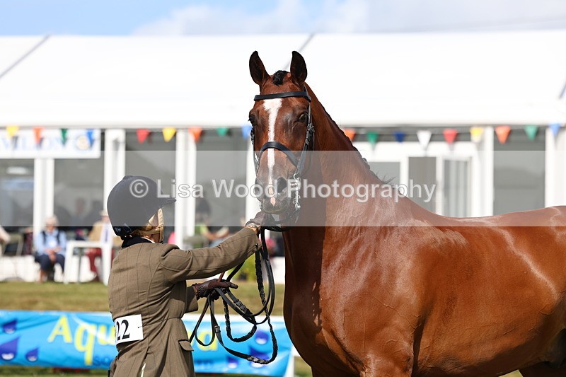 3E7A9555 - Class 4: Rising Star M/H Hunter