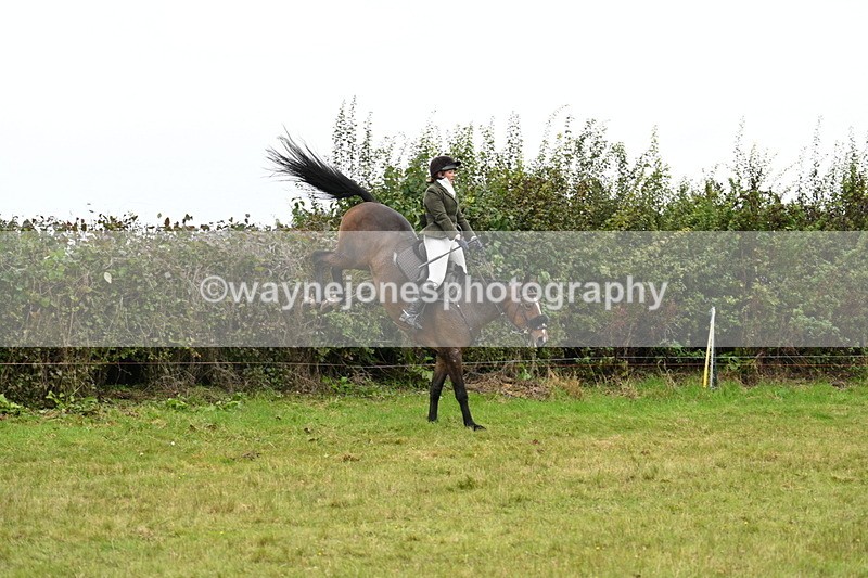 WJ7_4265 - Camera 1 Line 2