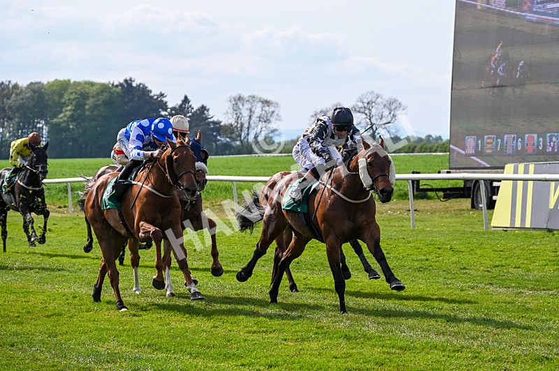 020526-Race 5-Emperor Caradoc-9880 - Race 5 3.55pm Alison And Andrew Richardson Ruby Anniversary Handicap