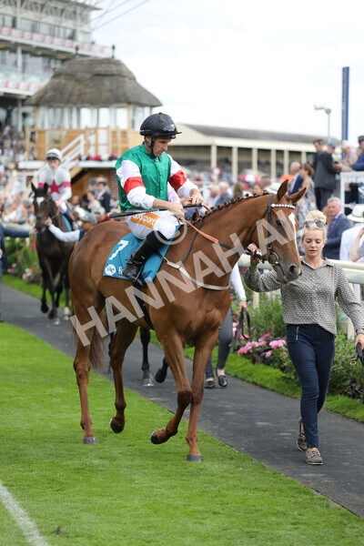 yr19082022r5-9 - Race 5 4.10pm Assured Data Protection EBF Fillies' Stakes