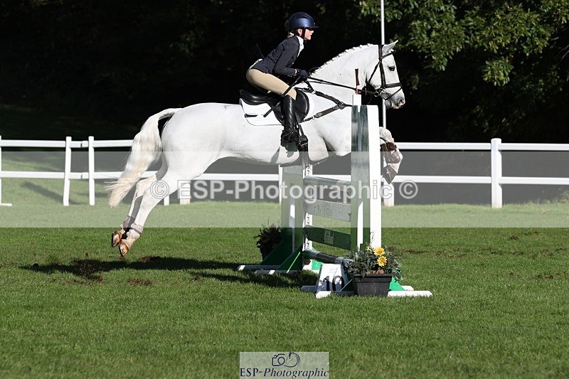 231022-110542-24955 - 653-GREYΓÇÖS.VILLAGE.MELODY-Annabel.Ridgway-TrotUp+SJ
