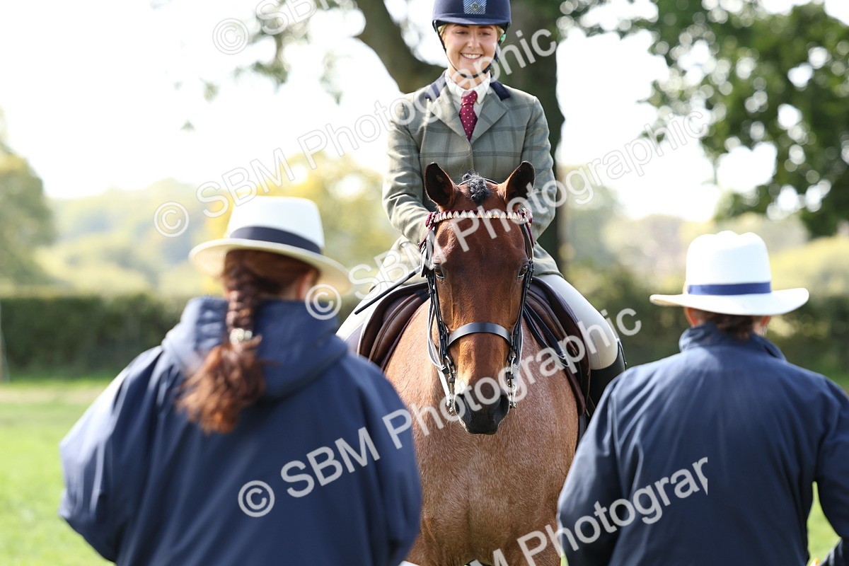 SBM_45314 - S27 - Young Veteran Ridden