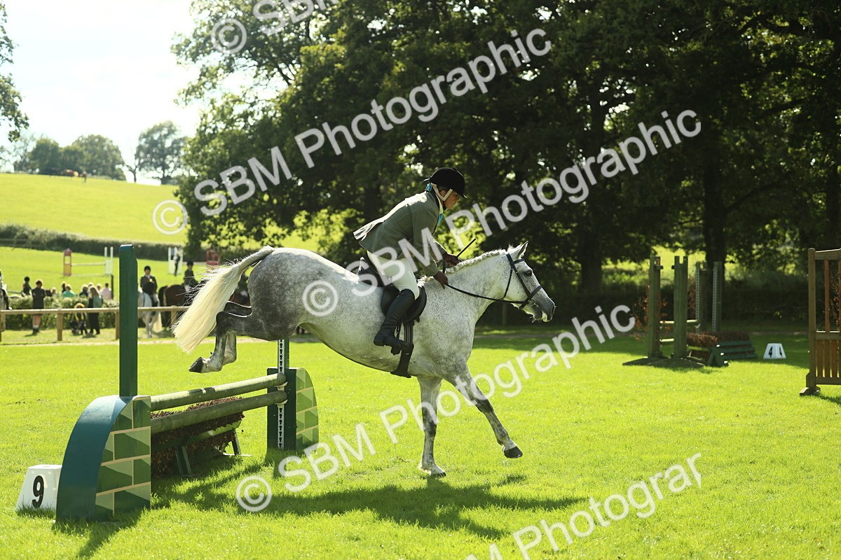 SBM_48081 - S32 - Novice & Newcomers Working Hunter