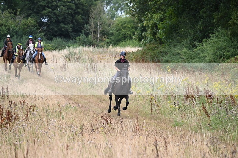 WJ6_2274 - Group 7