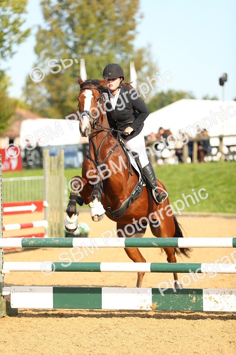 SBM_60312 - J41 - Grand Tour 95cm Championship