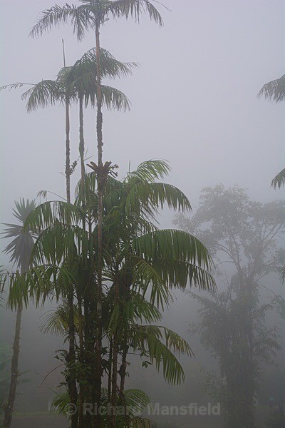  - Costa Rica