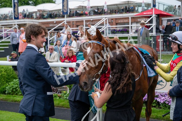 250524-Race 6-Primo Lara-0591 - Race 6 4.30pm Royal Yorkshire Regiment Handicap