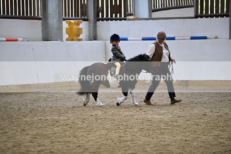 WJ5_6659 - Class 10 Childs Pony