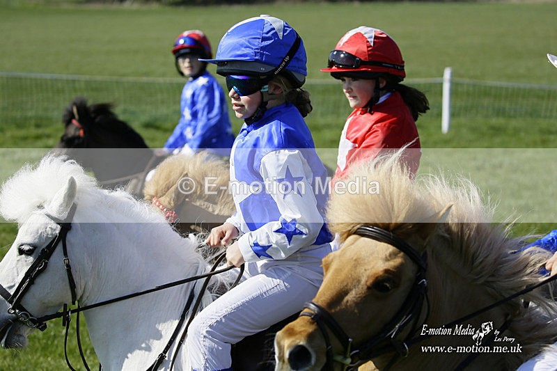 PtP 190322 62 - Wilton Hunt PtP Milborne St Andrew 19/03/22