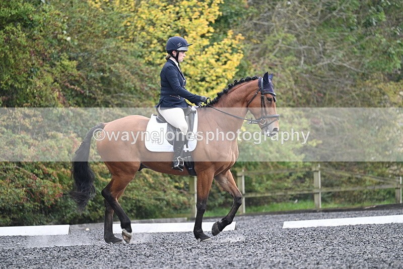 WJ7_3387 - Time 09:54 to 10:54