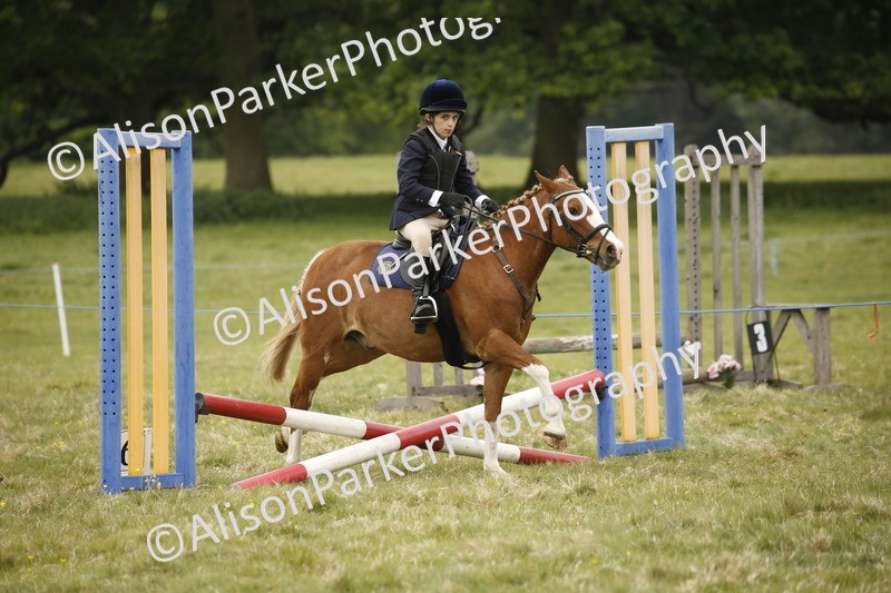 20250517-0771 - Class 2 - 30cm Off Lead Rein