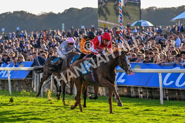 111025-Race 6-Berkshire Sundance-0642 - Race 6 Coral Racing Club Stayers Handicap at York