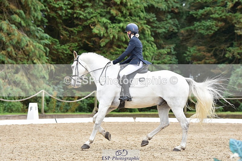 250719A-153336-06878 - 024-Neve.Moran-Clareville.Golden.Knight