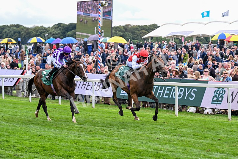 210826-Race 2-Al Nayyir-5407 - Race 2 14.25pm Weatherbys Lonsdale Cup Stakes