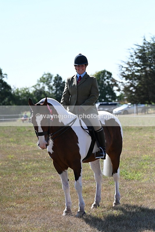 WJ7_3192 - Class 8 Ridden Tack & Turnout