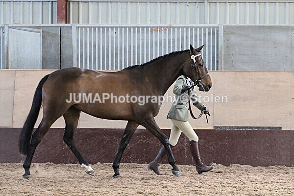 SIAL9793 - Indoor Classes